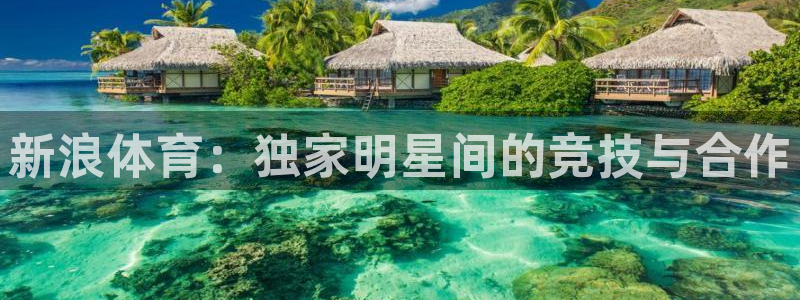 新浪体育：独家明星间的竞技与合作