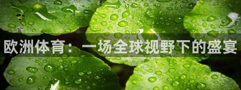 欧洲体育：一场全球视野下的盛宴