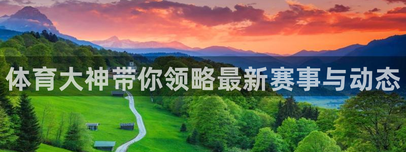 体育大神带你领略最新赛事与动态