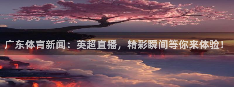 广东体育新闻：英超直播，精彩瞬间等你来体验！