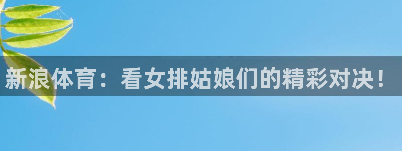 新浪体育：看女排姑娘们的精彩对决！