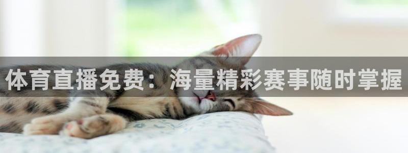 体育直播免费：海量精彩赛事随时掌握