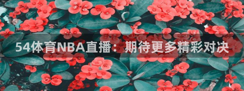 54体育NBA直播：期待更多精彩对决