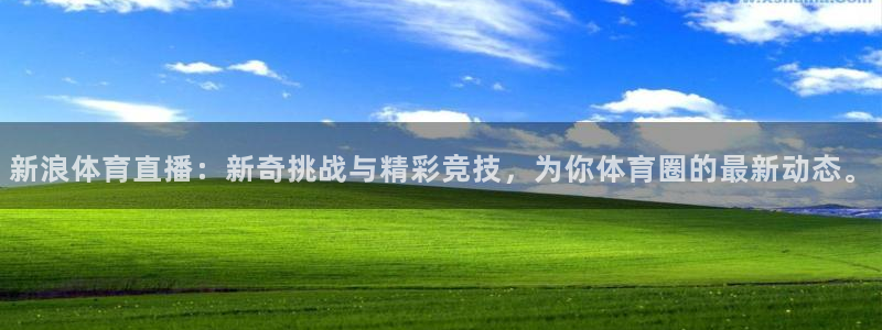 新浪体育直播：新奇挑战与精彩竞技，为你体育圈的最新动态。