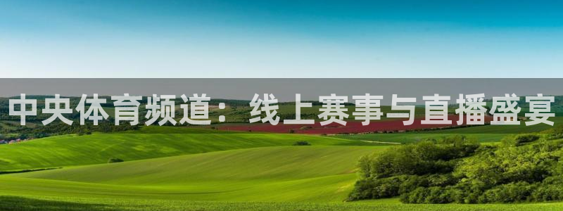 中央体育频道：线上赛事与直播盛宴