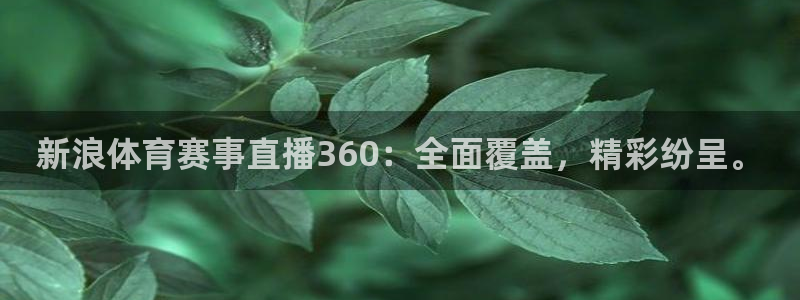 新浪体育赛事直播360：全面覆盖，精彩纷呈。