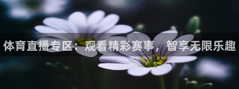 体育直播专区：观看精彩赛事，智享无限乐趣