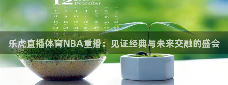 乐虎直播体育NBA重播：见证经典与未来交融的盛会
