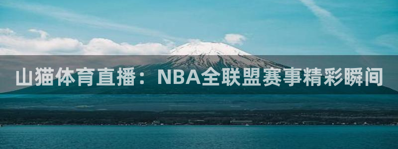 山猫体育直播：NBA全联盟赛事精彩瞬间