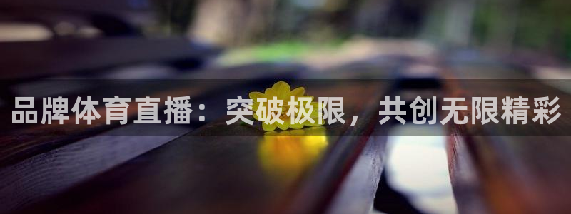 品牌体育直播：突破极限，共创无限精彩