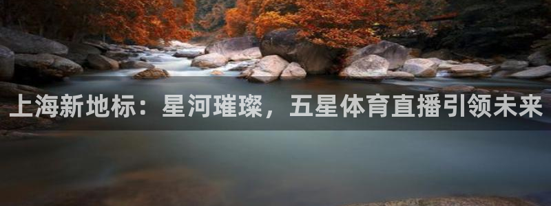 上海新地标：星河璀璨，五星体育直播引领未来