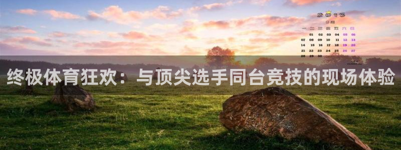 终极体育狂欢：与顶尖选手同台竞技的现场体验