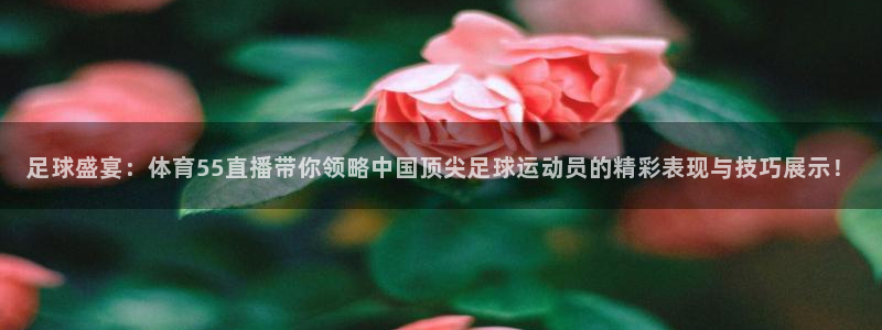 足球盛宴：体育55直播带你领略中国顶尖足球运动员的精彩表现与技巧展示！