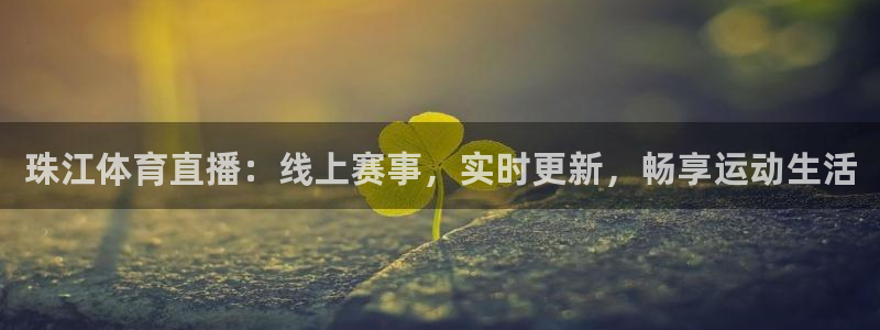 珠江体育直播：线上赛事，实时更新，畅享运动生活