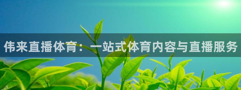 伟来直播体育：一站式体育内容与直播服务