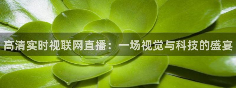 高清实时视联网直播：一场视觉与科技的盛宴