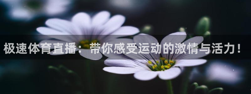 极速体育直播：带你感受运动的激情与活力！